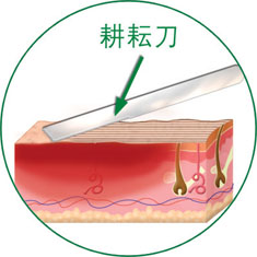 尊龙凯时·(中国区)人生就是搏!