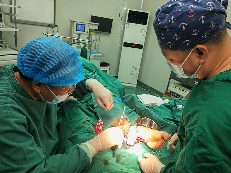 尊龙凯时·(中国区)人生就是搏!