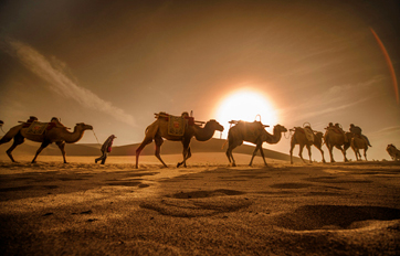 尊龙凯时国际 “一带一起”建议培训平台